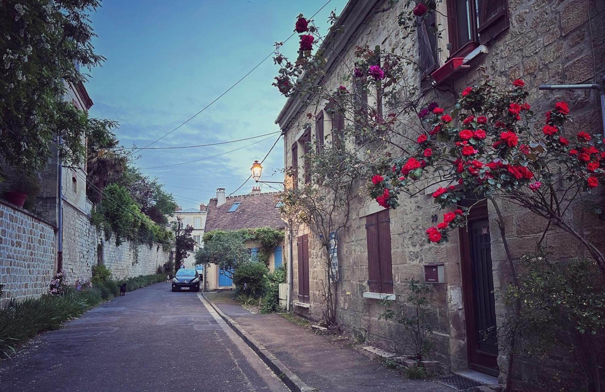 Les Persiennes Bed and Breakfast Auvers-sur-Oise Esterno foto